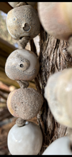 Load image into Gallery viewer, Ceremony Beads - Lichen
